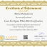 Lean six sigma white belt certificate