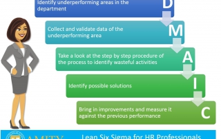 Is lean six sigma applicable for hr professionals