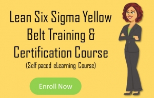 lean six sigma yellow belt training and certification course