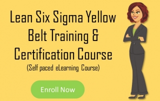 lean six sigma yellow belt training and certification course