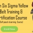 Lean six sigma yellow belt training and certification course