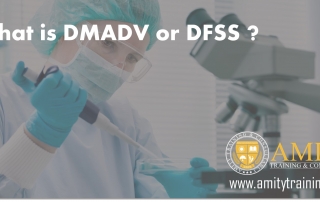 What is dfss